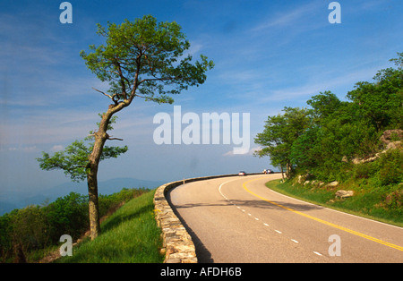 Shenandoah National Park Virginia,Federal land,nature,natural,scenery,countryside,historic preservation,public,recreation,Skyline Drive Mile Marker 21 Stock Photo