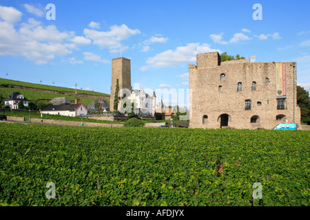 Brömserburg, castle at Ruedesheim, Unesco world heritage site, Upper ...