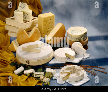 French Cheeses in group color photograph on cool toned mottled background. Horizontal  Format, studio tabletop. Classic Image. Stock Photo
