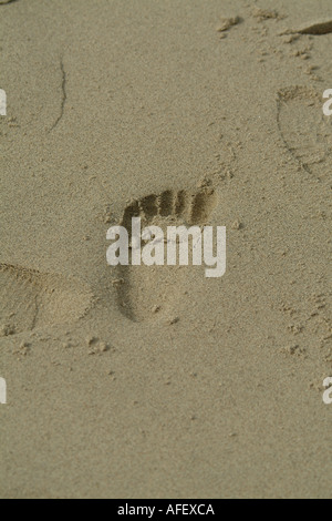 Child's Left Footprint in Wet Sand on Beach in Summer Stock Photo - Alamy