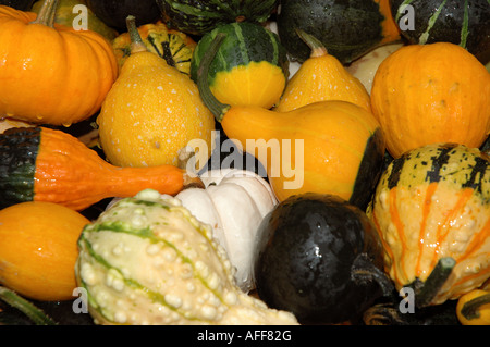 Assorted vegetables on a market stall in Switzerland Stock Photo
