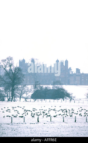 Cheshire Capesthorne Hall in winter Stock Photo