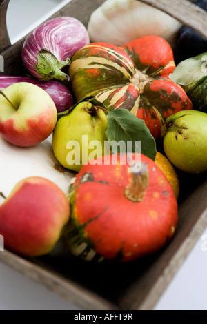 Harvest festival selection of seasonal fruit and vegtables presented in a wooden trug or basket Stock Photo