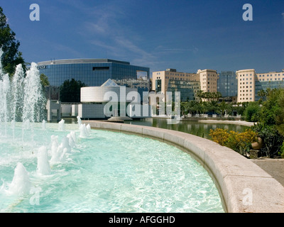 The Museum of Asiatic Art on an artificial lake with fountains beside Parc Phoenix, the botanical gardens in Nice, France Stock Photo