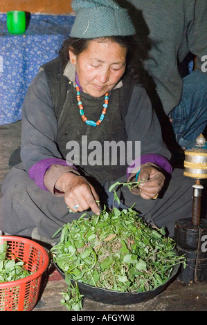 Old woman from Ladakh in the kitchen, Nurla village, Indus valley, Jammu and Kashmir, India Stock Photo