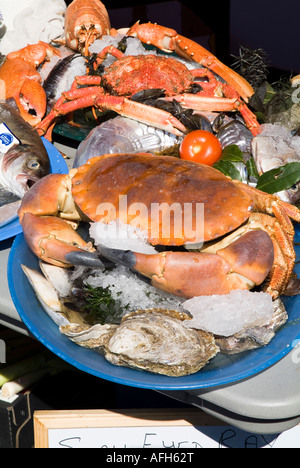 dh Cancer pagurus SEAFOOD JERSEY European edible Large crab on plate Jersey produce channel islands fish stall food brown crabs local market uk Stock Photo
