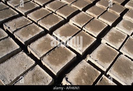 Adobe bricks drying in the sun, Bolivia Stock Photo