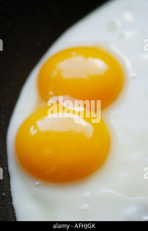 DOUBLE YOKE FRIED EGG IN FRYING PAN Stock Photo