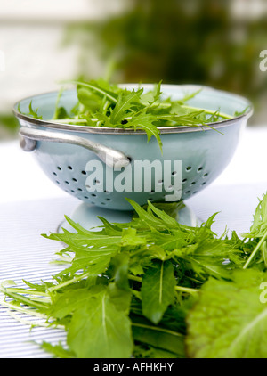 Colander with mixed salad leaves Stock Photo