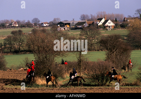 The Essex Hunt ride over open fields on the trail of a fox Stock Photo