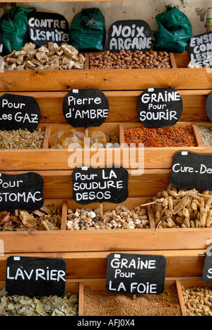 Herbs herbal spices with health giving properties on sale Essaouira west Atlantic coast Morocco North Africa Stock Photo