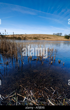 Waldergrave Pool at the Priddy Mineries on the Mendip Hills, Priddy ...