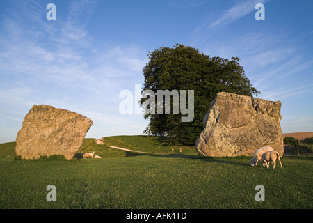 South East quadrant of Avebury stone circle and henge, with Devil’s Chair stone (on the right), Wiltshire, England, UK. Stock Photo