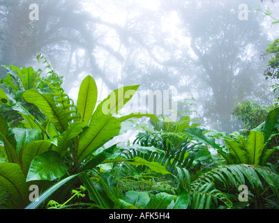 Porno filmlar tomosha qilish Porno animatsiya jinsiy aloqa