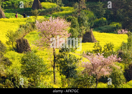 Himalaya Himalayan landscape hill valley NAGARKOT HIMALAYA Resort mountain range of hills Stock Photo