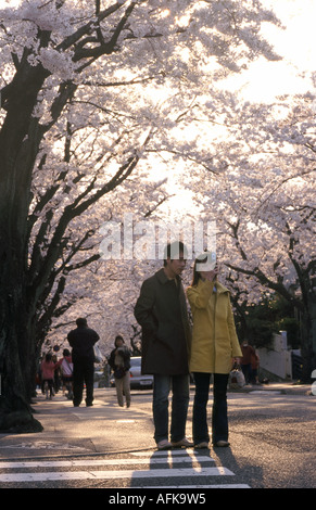 A couple take a picture of the cherry blossom in Tokyo with a phone camera, Japan Stock Photo