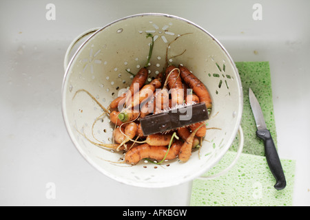 Homegrown organic carrots in a cullendar being scrubbed and prepared