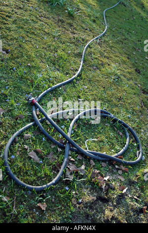 Black garden hose Stock Photo