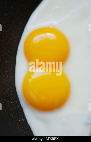 DOUBLE YOKE FRIED EGG IN FRYING PAN Stock Photo