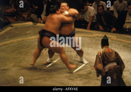 Sumo wrestlers in loincloth and sash or mawashi fighting in ring or dohyo Stock Photo