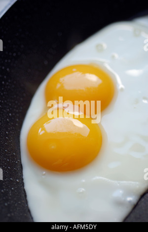 DOUBLE YOKE FRIED EGG IN FRYING PAN Stock Photo