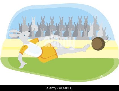 Bunny and exercise hi-res stock photography and images - Alamy