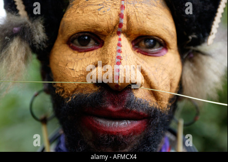 A Huli wigman tribal warrior, Tari, Papua New Guinea Stock Photo