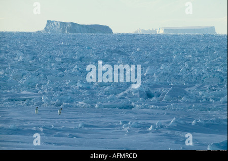 Ice floes Cape Adare Antarctica Stock Photo