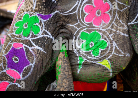 Elephant painted in preparation for the Elephant Festival Jaipur India Stock Photo