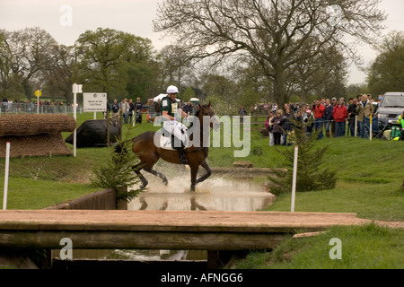 Baminton, Rongotai mounted by Nick Turner. Stock Photo