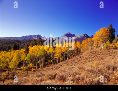 USA Idaho Scenic Sawtooth mountain peaks with colorful aspen groves in autumn colors Stock Photo