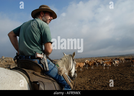 An Israeli cattle rancher wearing a pistol mounted on a horse in the Golan heights northern Israel Stock Photo