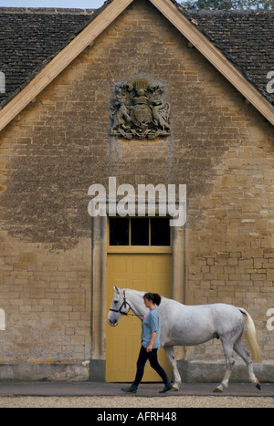 Duke of Beaufort Hunt Badminton estate Gloucestershire Stable girls parade horses before the meet 1990s. 1996 HOMER SYKES Stock Photo