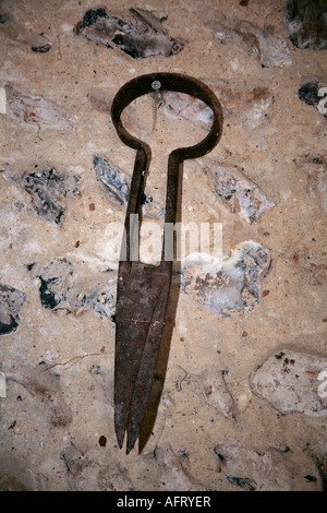 An old sheep shears Stock Photo - Alamy