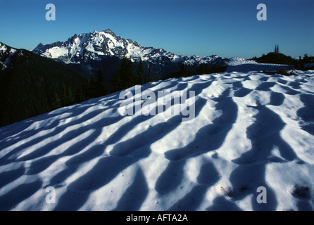 Melting snow near Mount Shuksan, Mt. Baker-Snoqualmie National Forest, Washington State Stock Photo