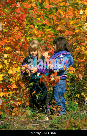 Girls collecting leaves in deciduous forest, Autumn, E USA Stock Photo