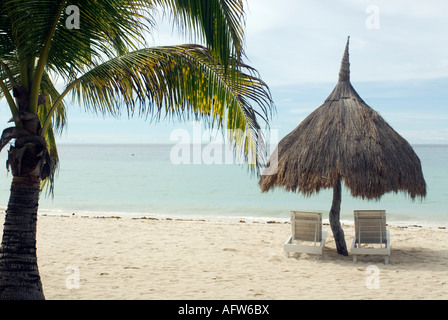 Philippines Thatched Beach Umbrella Beach Chairs And Palm Tree Bohol Beach Club Alona Beach Panglao Island Visayas Stock Photo