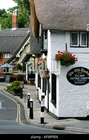 old thatched cottages in at old shanklin village on the isle of wight olde worlde Stock Photo