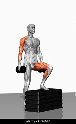 Dumbbell step-up exercise (Part 2 of 2) Stock Photo