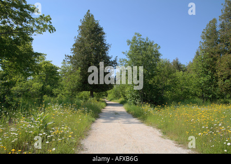 sandy road leading to campsites rock island state park wisconsin Stock Photo