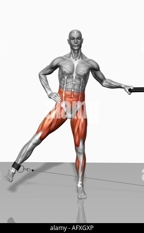 Cable leg abduction Stock Photo - Alamy