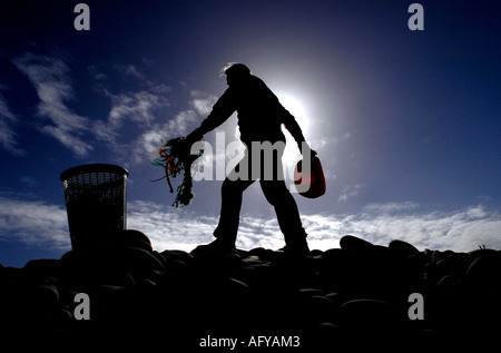 An active tidy beach campaigner collecting rubbish at Westward Ho! pebble beach  Devon UK Stock Photo