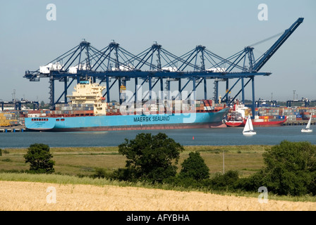 Suffolk landscape River Orwell & Felixstowe Container Port a commercial business with cranes unloading loading Maersk Sealand shipping containers UK Stock Photo