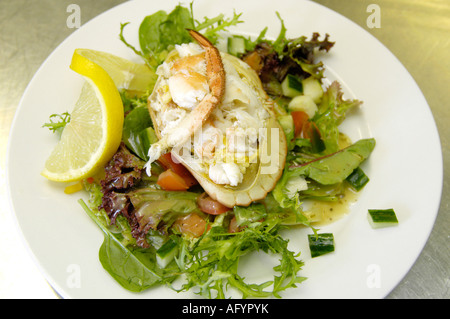 Fresh English crab salad Stock Photo
