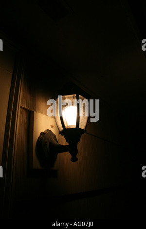 Night photo beetle flying at porch light. Stock Photo