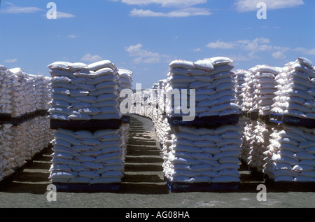 Pallets of salt waiting for collection/distribution, Namibia Stock Photo