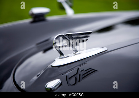 Austin A40 bonnet mascot. Stock Photo