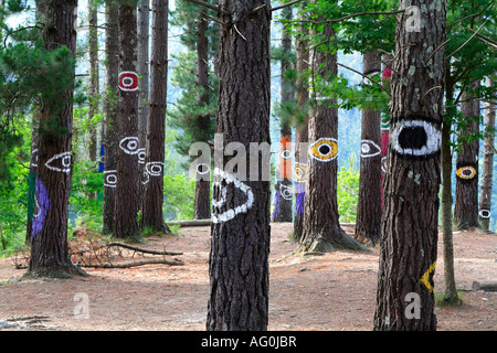 Bosque pintado de Oma pine forest with eyes painted on trunks Kortezubi Vizcaya Basque country Europe Stock Photo