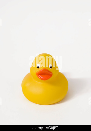 Yellow rubber duck on white background Stock Photo