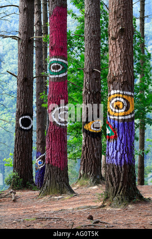 Bosque pintado de Oma pine forest with eyes painted on trunks Kortezubi Vizcaya Basque country Europe Stock Photo